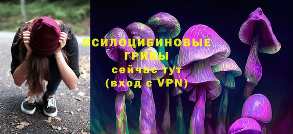 прущий лед Белокуриха