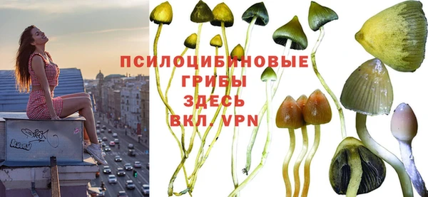 МДПВ Беломорск