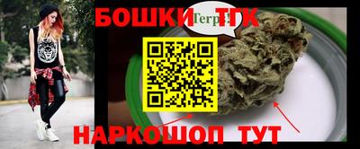 тгк Бийск