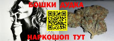 тгк Бийск