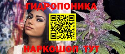 тгк Бийск