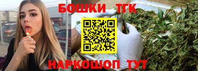 тгк Бийск