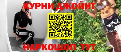 тгк Бийск