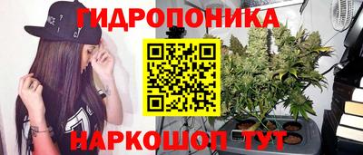 трава Берёзовский