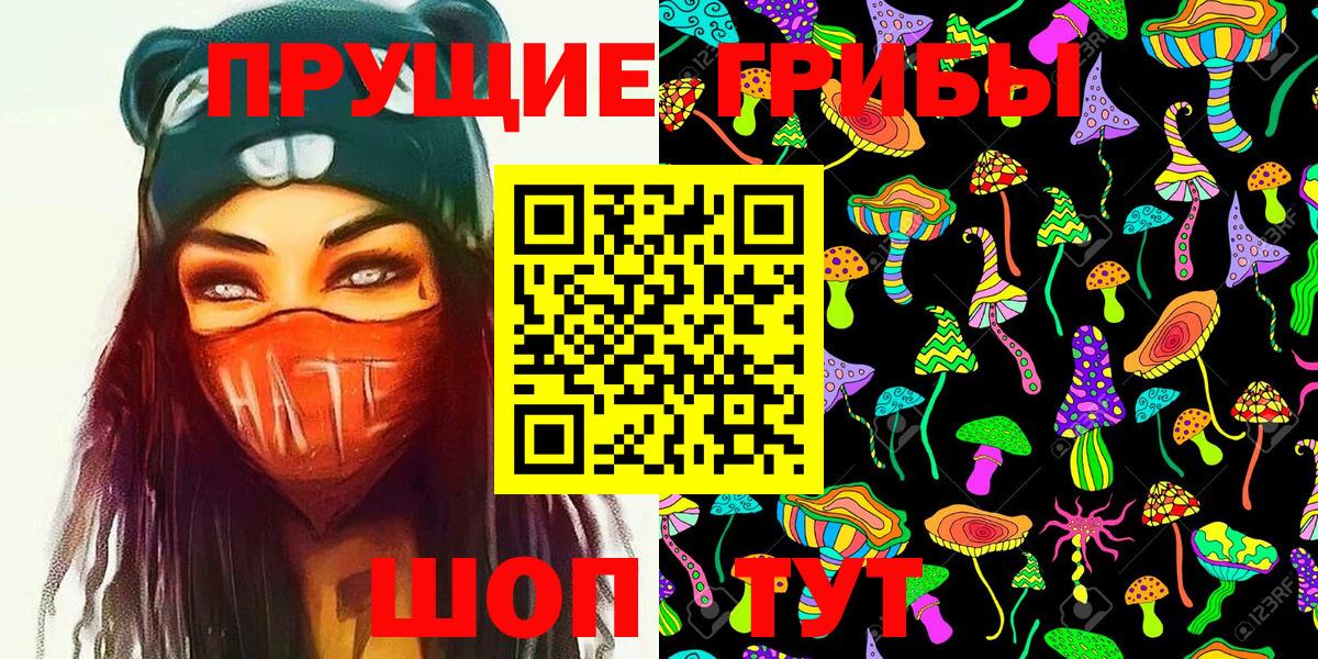Галлюциногенные грибы Cubensis  Вязники  Псилоцибиновые грибы мицелий 