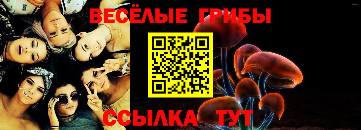 Псилоцибиновые грибы GOLDEN TEACHER  цены   Вход с VPN  Вязники  Псилоцибиновые грибы MAGIC MUSHROOMS 